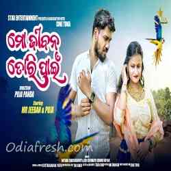 Mo Jeeban Tori Paeen